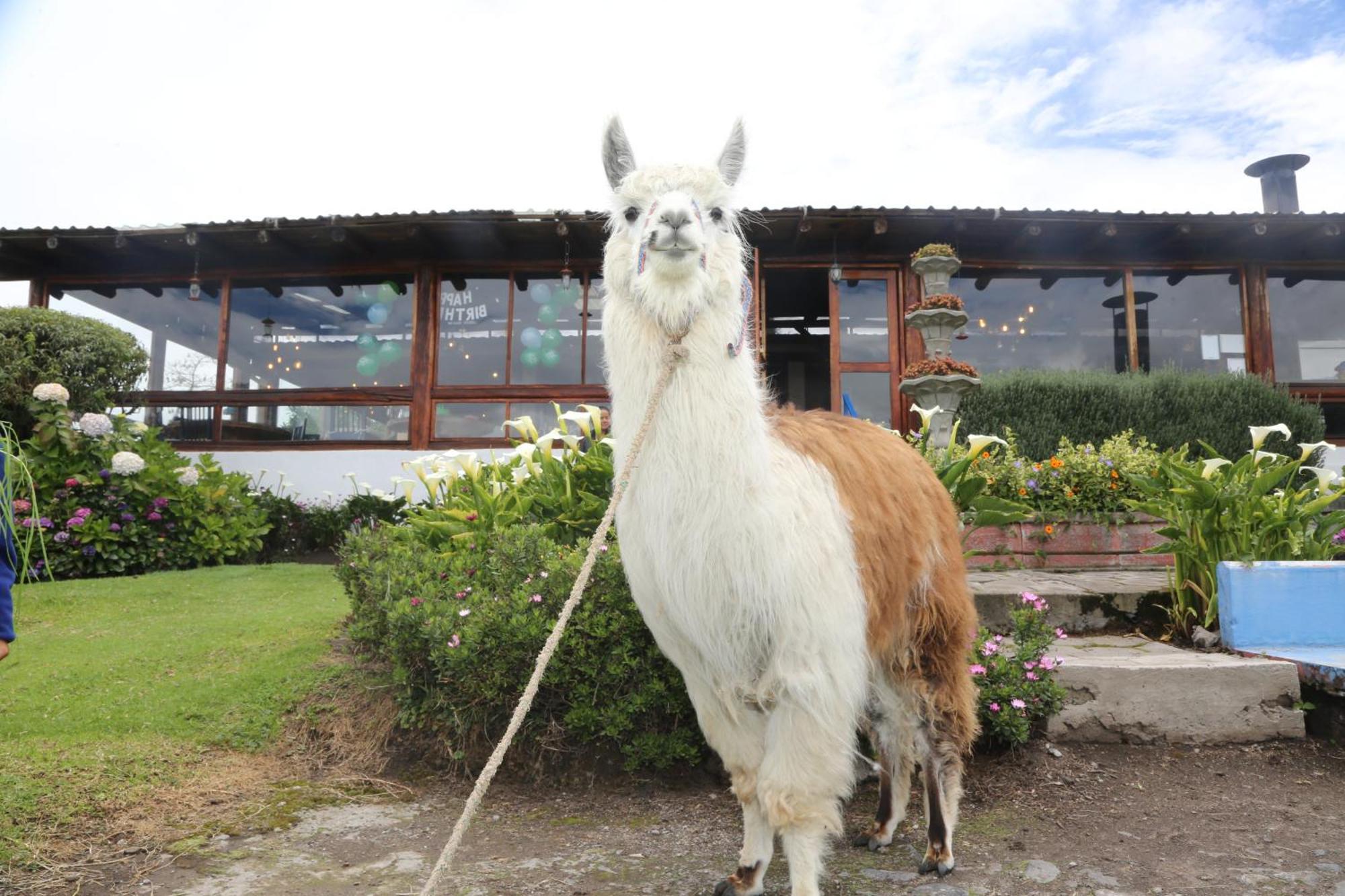 Machachi Hacienda El Rejoヴィラ エクステリア 写真