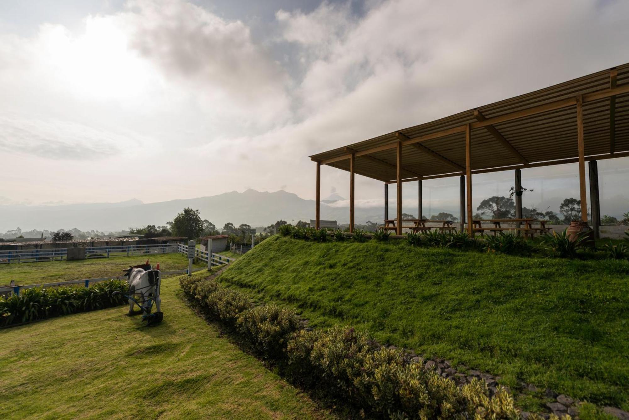 Machachi Hacienda El Rejoヴィラ エクステリア 写真